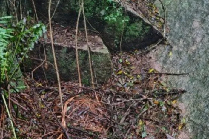 Polícia Civil / Divulgação Polícia Civil / Divulgação