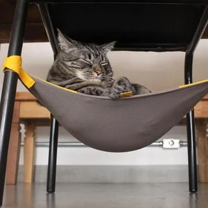 Cansei de ser gato / Divulgação