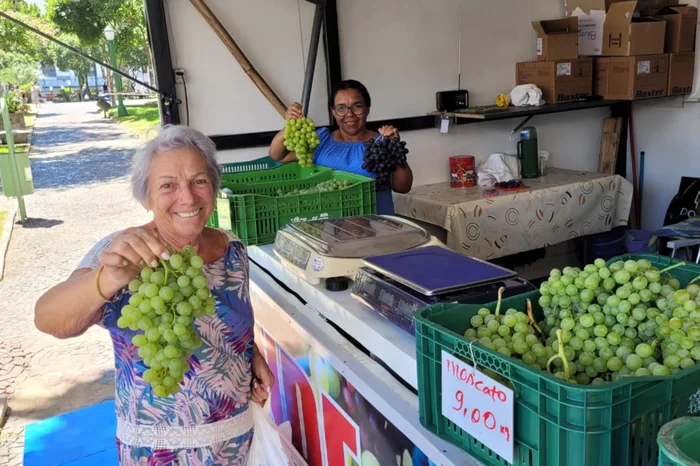 Pablo Ribeiro / Agencia RBS