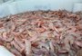 Peixe e camarão entram pela primeira vez no cardápio das doações da Ceasa