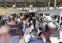 Com expectativa de "encher a casa", pavilhão da agricultura familiar na Expointer está com inscrições abertas
