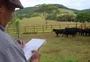 O profissional que tem visão de "raio X" para identificar os melhores animais da raça
