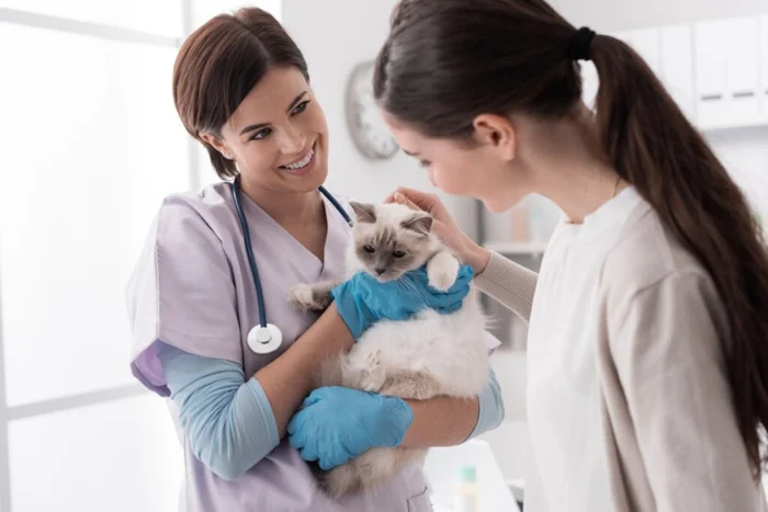 Stock-Asso / Shutterstock | Portal EdiCase