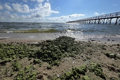 laranjal<!-- NICAID(16219222) -->