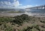 Água verde na Praia do Laranjal pode ser tóxica, alerta especialista