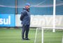 Com apenas o Brasileirão pela frente: veja quem ganhou e quem perdeu espaço nos 70 dias de Felipão no Grêmio