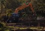 Comissão da Câmara de Vereadores pede a interrupção de obras no parque Harmonia, em Porto Alegre