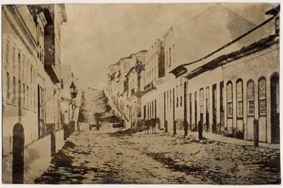 O centro de Porto Alegre já foi tomado por ares bucólicos, com uma bicharada solta pelas calçadas. Vejamos o caso da antiga Rua Santa Catarina, atual Doutor Flores, que se estende da Voluntários da Pátria até a Riachuelo, na altura da Praça Conde de Porto Alegre.<!-- NICAID(16089302) -->