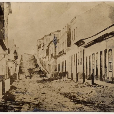 O centro de Porto Alegre já foi tomado por ares bucólicos, com uma bicharada solta pelas calçadas. Vejamos o caso da antiga Rua Santa Catarina, atual Doutor Flores, que se estende da Voluntários da Pátria até a Riachuelo, na altura da Praça Conde de Porto Alegre.<!-- NICAID(16089302) -->