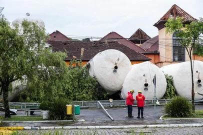 Neimar De Cesero / Agencia RBS FLORES DA CUNHA, RS, BRASIL, 09/12/2025. Alfredo Chaves contabiliza prejuízos após a passagem do ciclone tropical, que afetou áreas urbanas e rurais do município. (Neimar De Cesero/Agência RBS)Indexador: Neimar De Cesero<!-- NICAID(16183170) -->