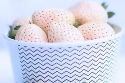 O produtor Aflânio Tomikawa, da cidade paulista de Atibaia conseguiu produzir no primeiro semestre do ano passado morangos brancos. O fruto é resultante do cruzamento genético de espécies que apresentam menos antocianina, substância responsável pela coloração vermelha.<!-- NICAID(15187897) -->