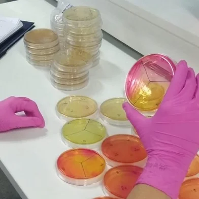 Empresa Regenera usa bactérias do fundo do mar para a produção de bioinsumos <!-- NICAID(15598008) -->