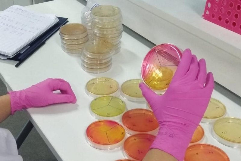 Empresa Regenera usa bactérias do fundo do mar para a produção de bioinsumos <!-- NICAID(15598008) -->