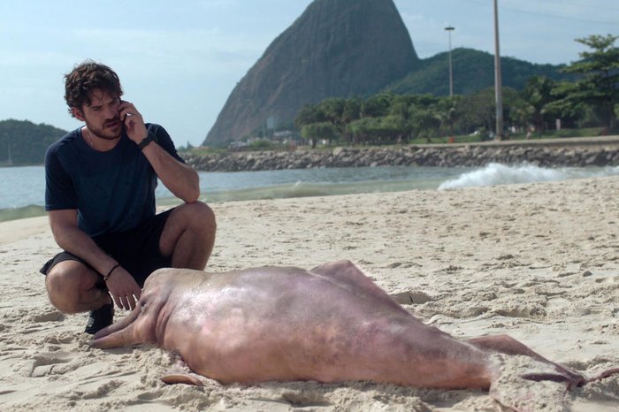 Alisson Louback / Netflix Alisson Louback / Netflix