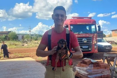 Filhote de cachorro é resgatado após ficar preso em bueiro no noroeste do RS; assista ao vídeo<!-- NICAID(15977133) -->