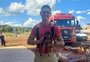 Filhote de cachorro é resgatado após ficar preso em bueiro no noroeste do RS; assista ao vídeo