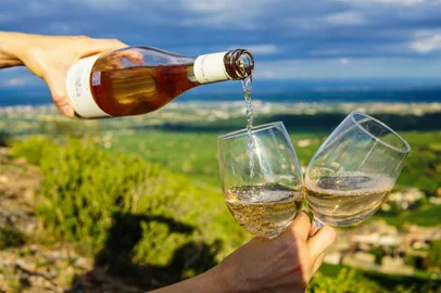 Frisante, taças, vinho, brinde, destemperados, porta-copos<!-- NICAID(13928925) -->