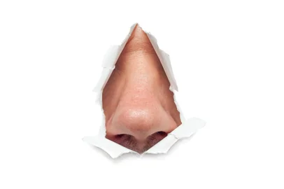 The human nose sticks out through a hole in paper isolatedFonte: 61117382<!-- NICAID(15612956) -->