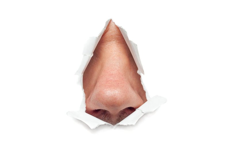 The human nose sticks out through a hole in paper isolatedFonte: 61117382<!-- NICAID(15612956) -->