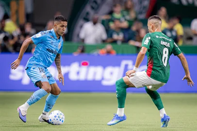 Santos enfrenta o Palmeiras em clássico pelo Brasileirão. Foto: Raul Baretta/Santos FC/Divulgação<!-- NICAID(16277560) -->
