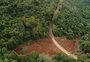 BR-116, entre Caxias e Nova Petrópolis, volta a operar em sistema de siga e pare