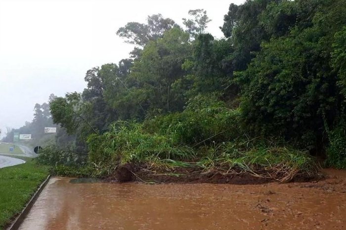 CRBM / Divulgação CRBM / Divulgação