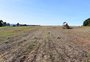 Fertilizantes mais caros impactam custos de lavouras dos EUA e do RS