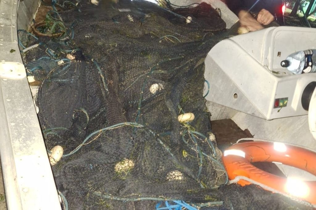 Fiscaliza&ccedil;&atilde;o apreende 185 quilos de camar&atilde;o pescados ilegalmente em Rio Grande