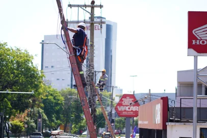 Equipes trabalham para limpar acúmulo de fios em postes na Avenida Brasil<!-- NICAID(15902999) -->