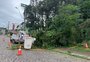 Mais de 7 mil clientes da RGE seguem sem energia elétrica em Caxias do Sul e Flores da Cunha