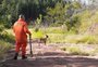 Cão encontra vestígio que seria de casal que desapareceu em Cachoeirinha