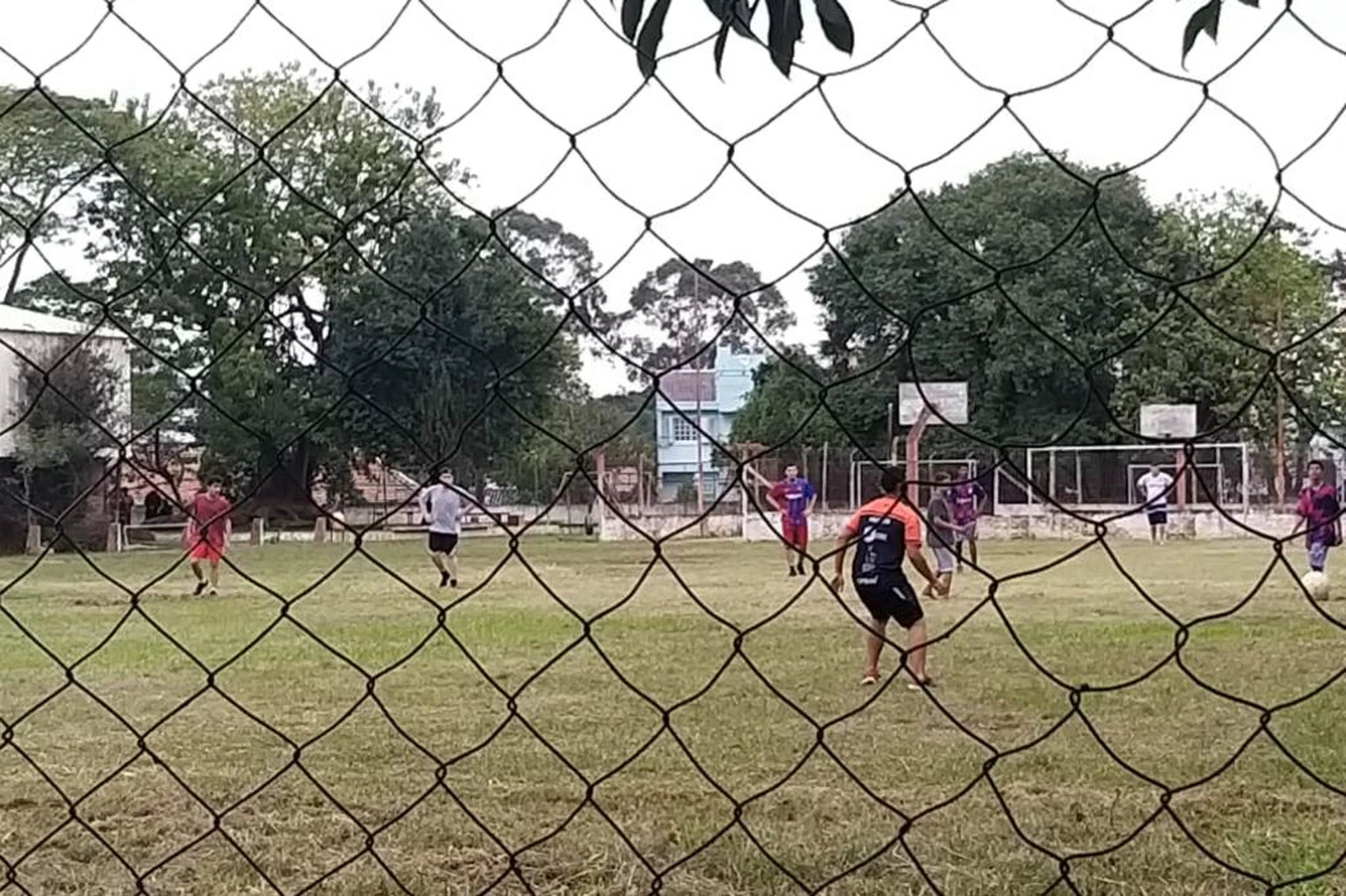 Arquivo pessoal/Reprodução