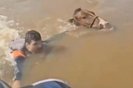 VÍDEO: Vice-prefeito de cidade do RS resgata cavalo submerso em Canoas: "Jamais deixaríamos ele morrer"<!-- NICAID(15759235) -->