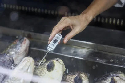 Ministério público faz fiscalização de carnes no Mercado Público<!-- NICAID(16016496) -->