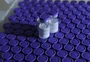 Pfizer prevê ter até março vacina adaptada à variante Ômicron