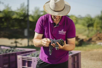 Cooperativa Vinícola Garibaldi.<!-- NICAID(16207990) -->