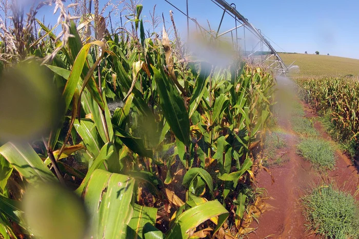 Tadeu Vilani / Agencia RBS Tadeu Vilani / Agencia RBS