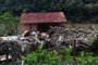 SANTA TEREZA, RS, BRASIL, 19/09/2023. Pontes bloqueadas ou levadas pela enchurrada do dia 04/09. A reportagem do Pioneiro percorreu os desvios, conferiu as condições das estradas e de que forma a comunidade local convive com a situação. Na foto, estragos ao longo do Rio das Antas, na localidade de Linha José Júlio, pertencente a Santa Tereza. (Porthus Junior/Agência RBS)<!-- NICAID(15548453) -->