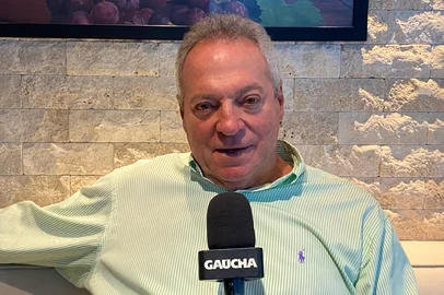 Inter , Abel Braga , Brasileirão , Botafogo<!-- NICAID(16034288) -->