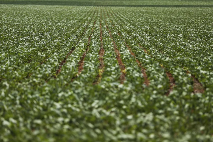 Marcelo Camargo / Agencia Brasil Marcelo Camargo / Agencia Brasil