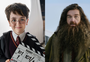 Série 'Harry Potter': Veja quem é quem no elenco até agora