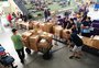 Como Garibaldi superou os efeitos da chuva e se tornou referência regional em distribuição de donativos 