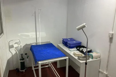 Castrações de gatos machos são realizadas gratuitamente no Espaço Pet, em Bento Gonçalves <!-- NICAID(15441044) -->