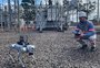 CEEE Equatorial testa uso de drones e robôs com IA para melhorar serviço de energia elétrica em Porto Alegre