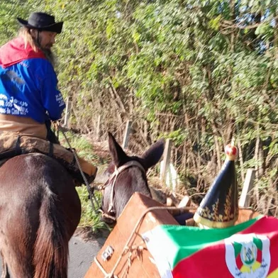 Moradores de Bom Jesus vão até Aparecida do Norte de mula Devotos de Nossa Senhora Aparecida percorreram 1.500 km ao longo de 36 dias de viagem<!-- NICAID(15508272) -->