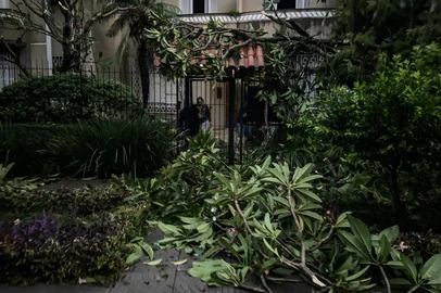 PORTO ALEGRE, RS, BRASIL - 2025.03.31 - Temporal causa estragos no Bom Fim. Na foto: Árvore cai na entrada de edifício na rua Henrique Dias<!-- NICAID(16007326) -->