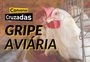 Conversas Cruzadas: gripe aviária deixa Brasil em alerta? Qual o impacto na economia?