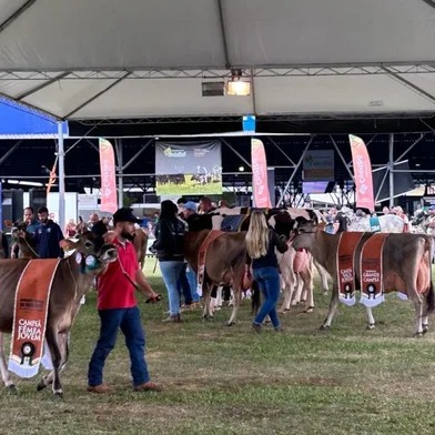 Desfile dos campeões da Expoleite/Fenasul<!-- NICAID(15434248) -->
