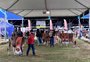 44ª Expoleite e 17ª Fenasul terminam com público estimado em cem mil visitantes 
