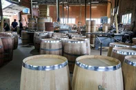 MONTE BELO DO SUL, RS, BRASIL, 11/03/2026. Conheça a profissão que já foi referência para a vitivinicultura da Serra e hoje corre risco de extinção. Mauro (mais novo) e Eugenio Mesacaza são os proprietários da Tanoaria Mesacaza em Monte Belo do Sul (Neimar De Cesero/Agência RBS)Indexador: Neimar De Cesero<!-- NICAID(16242708) -->